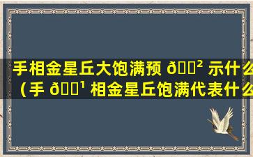 手相金星丘大饱满预 🌲 示什么（手 🌹 相金星丘饱满代表什么）